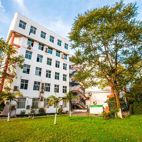 最美大學