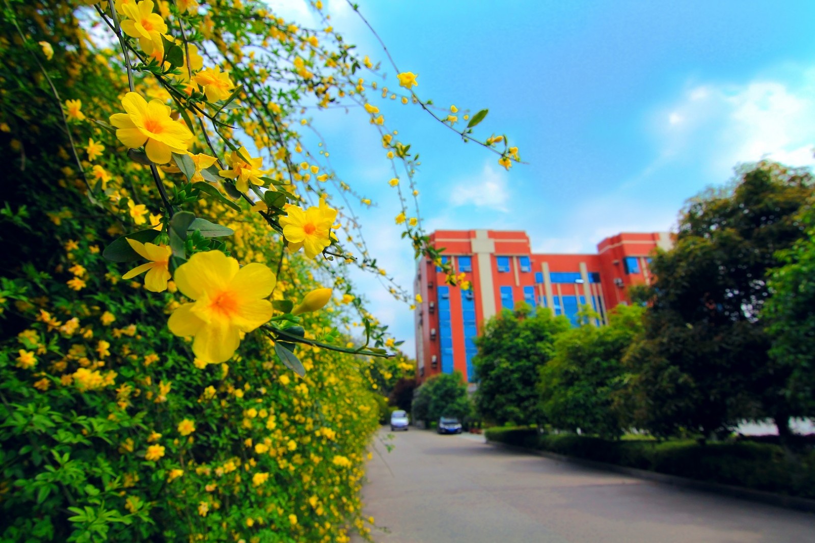 川北医学院 早安青春