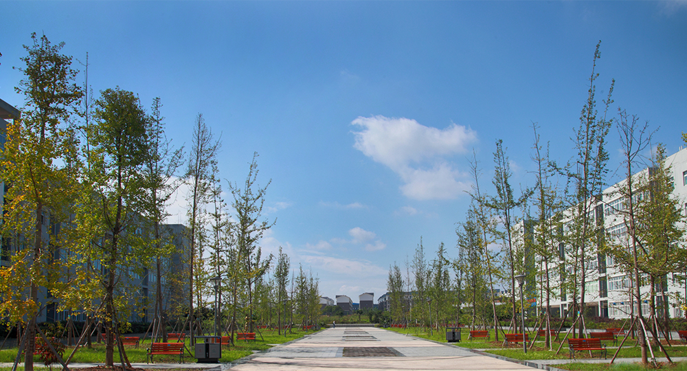 绵阳师范学院：校名题写 / 校徽设计