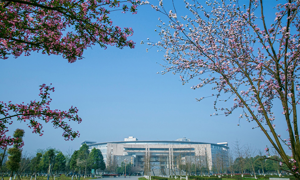 西南交通大学 校園文化