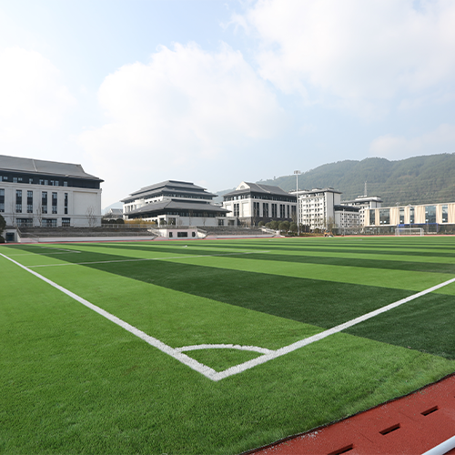 新生入学