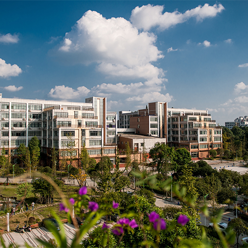 大學简介