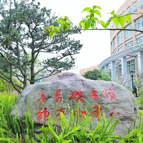 新生入学