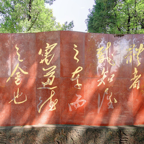 我的大學