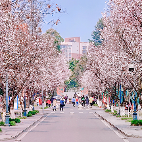 新生入学