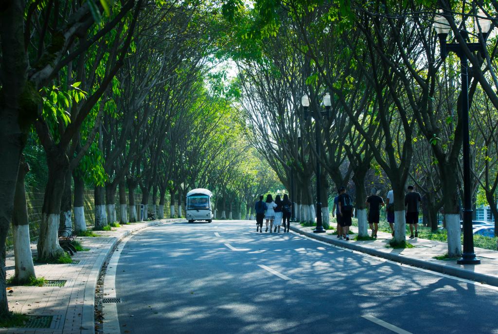 成都大学 早安青春