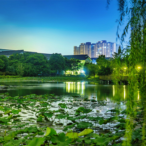 大學简介