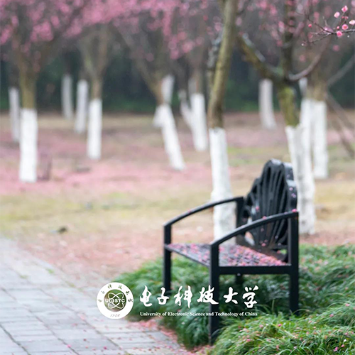 大學简介