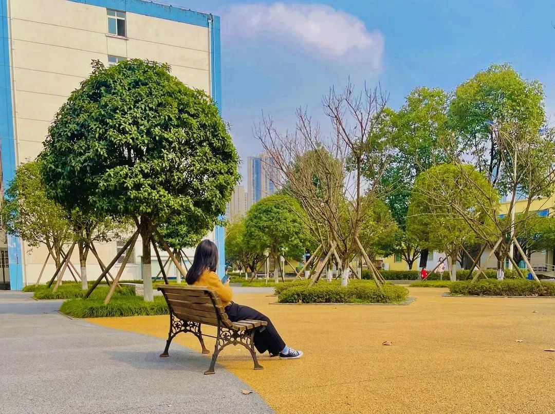电子科技大学 我的大學