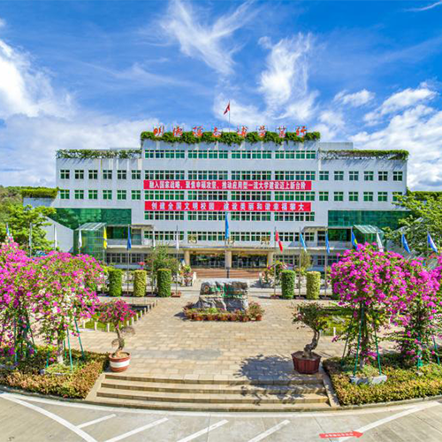 新生入学