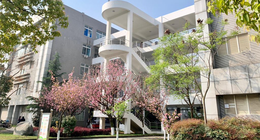 四川旅游学院：校名题写 / 校徽设计