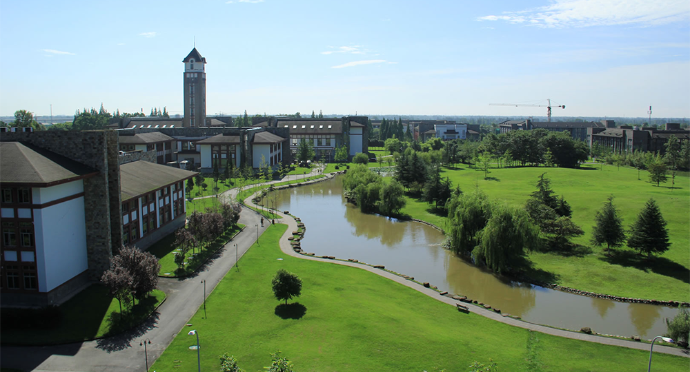 成都东软学院：校名题写 / 校徽设计