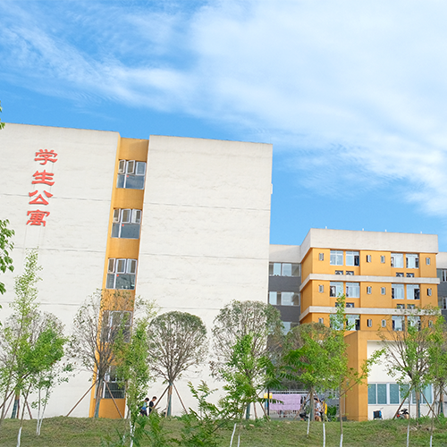 最美大學