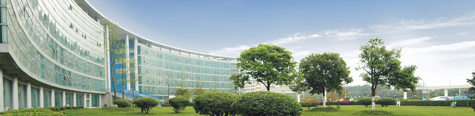 电子科技大学成都学院 我的大學