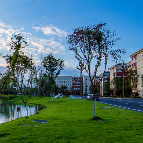 大學简介