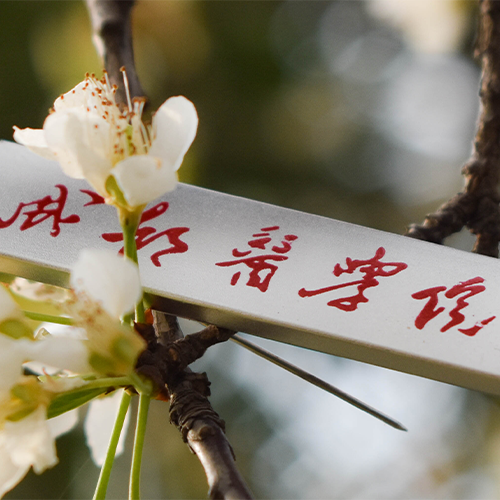 大學简介