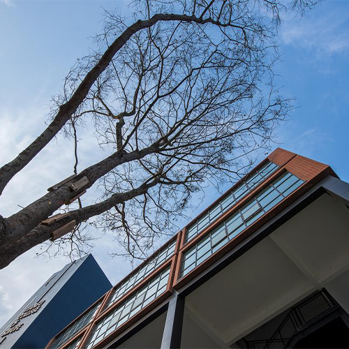 大學简介