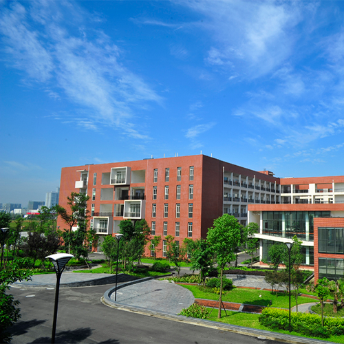 最美大學