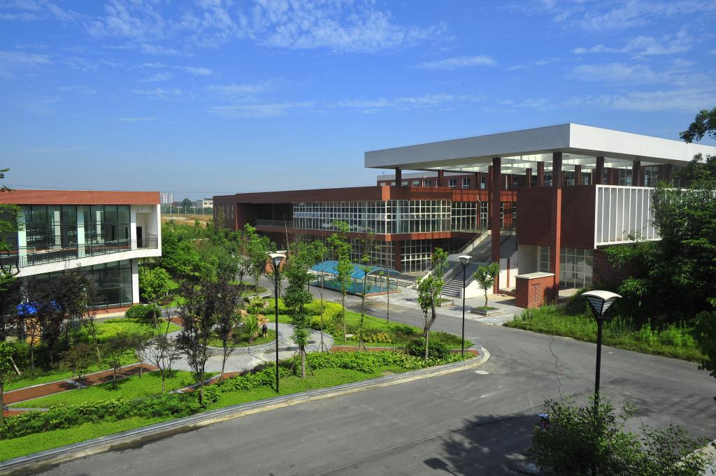 西南财经大学天府学院 我的大學