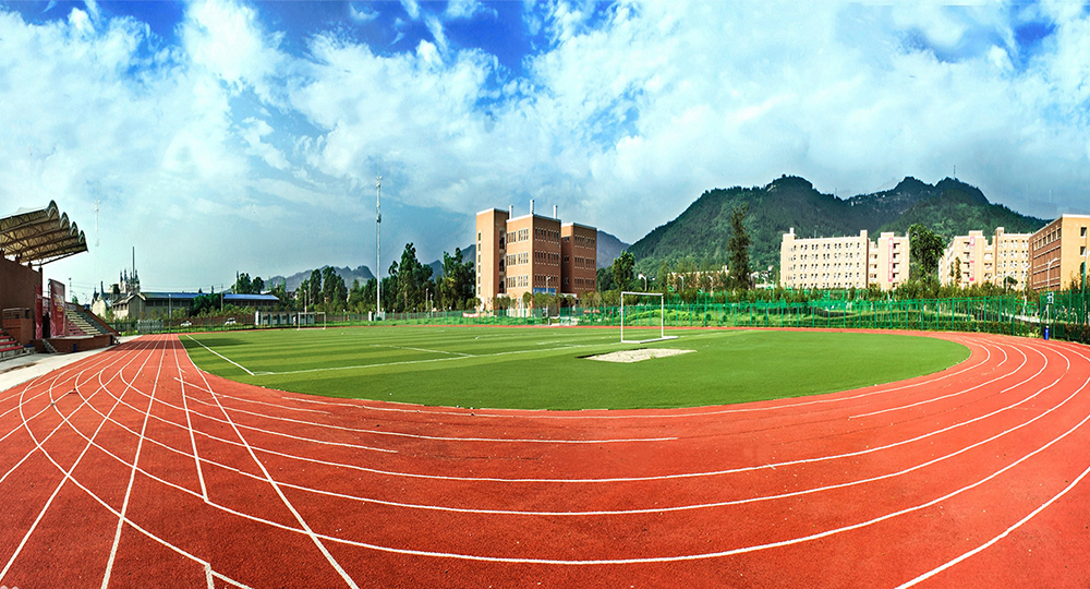 西南交通大学希望学院：校名题写 / 校徽设计