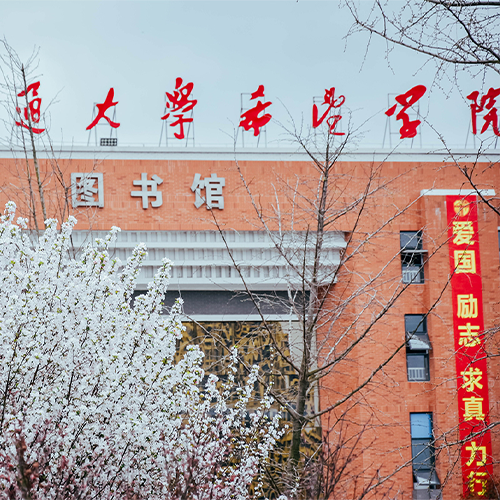 最美大學