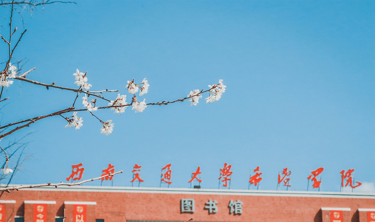 西南交通大学希望学院 我的大學