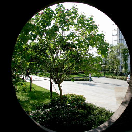 最美大學