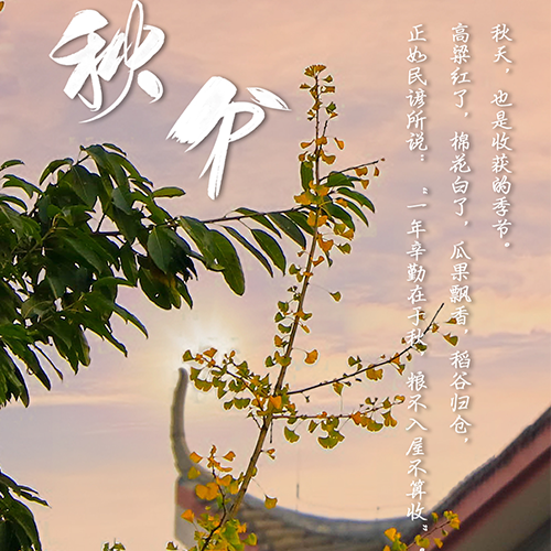 我的大學