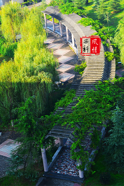 岁月流金 · 青春不散场