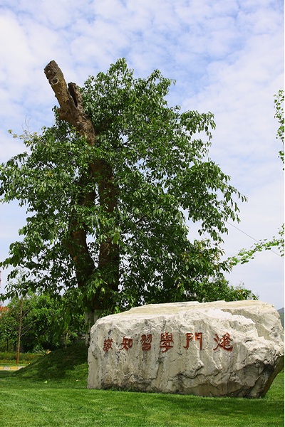 岁月流金 · 青春不散场