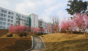 「 大學志 · 志中國 」