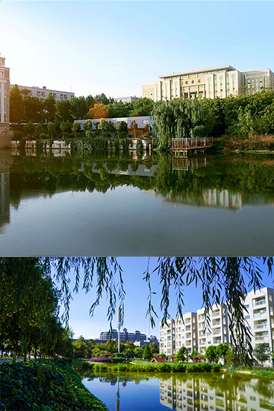 岁月流金 · 青春不散场