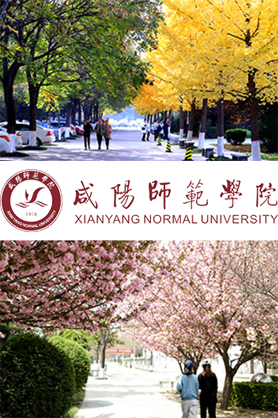 岁月流金 · 青春不散场