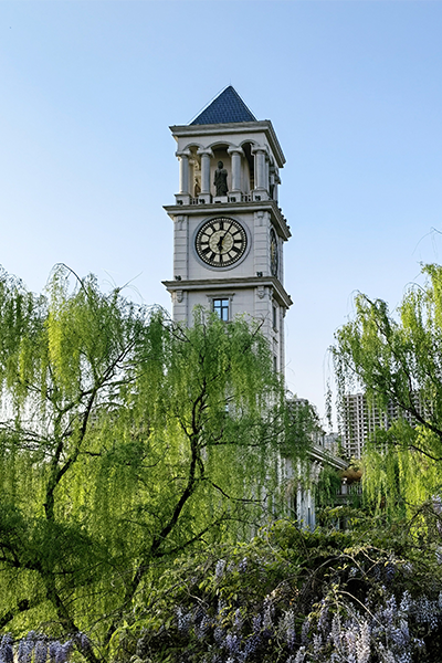 岁月流金 · 青春不散场