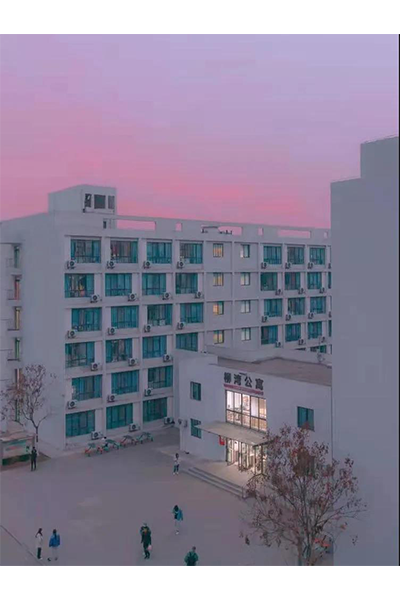 岁月流金 · 青春不散场