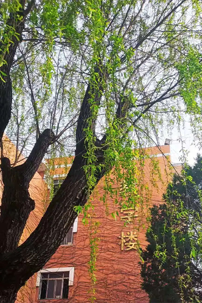 岁月流金 · 青春不散场