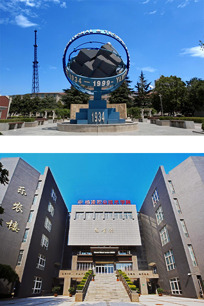 岁月流金 · 青春不散场