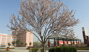 「 大學志 · 志中國 」