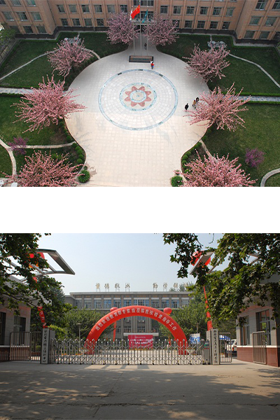 岁月流金 · 青春不散场