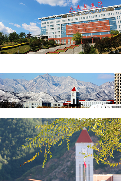 岁月流金 · 青春不散场