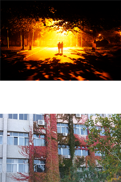 岁月流金 · 青春不散场