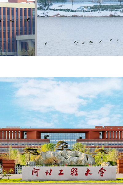 岁月流金 · 青春不散场