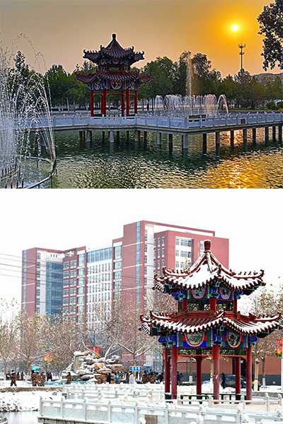 岁月流金 · 青春不散场