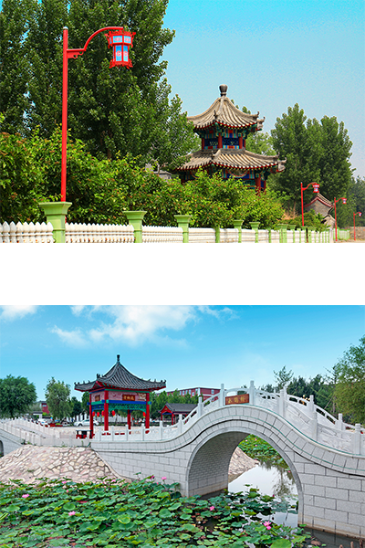 岁月流金 · 青春不散场