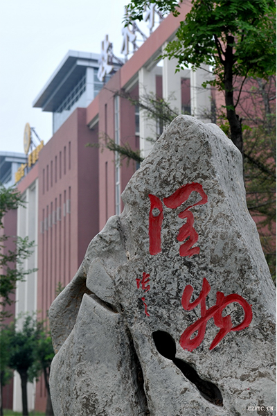 岁月流金 · 青春不散场