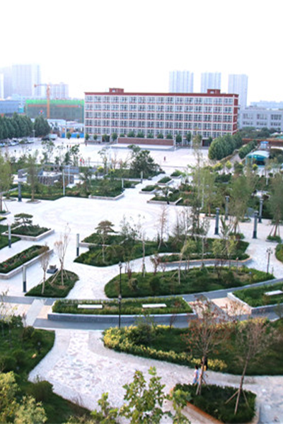 岁月流金 · 青春不散场