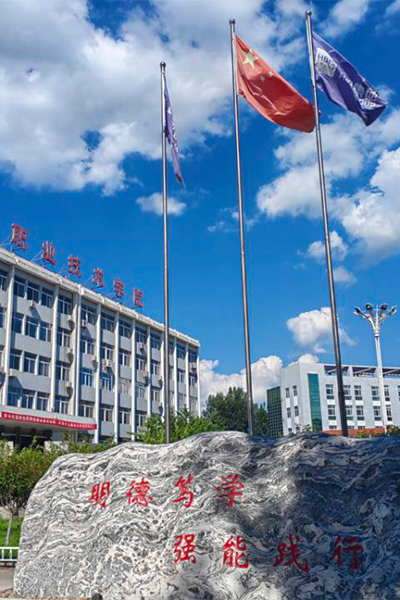 岁月流金 · 青春不散场