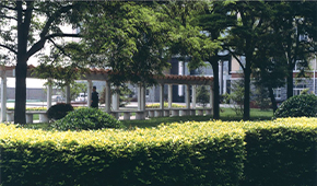 「 大學志 · 志中國 」