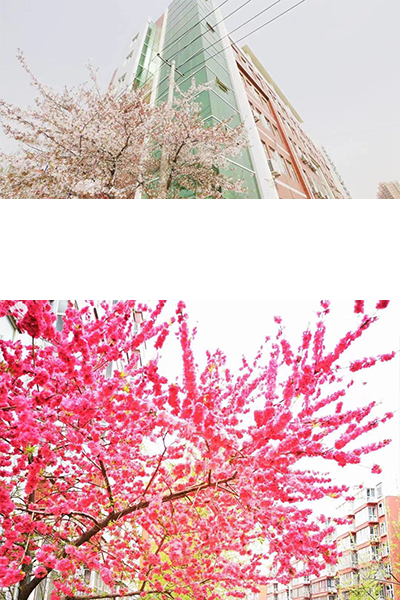 岁月流金 · 青春不散场