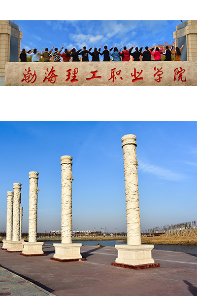 岁月流金 · 青春不散场